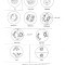 meiosis_1_drawings.jpg
